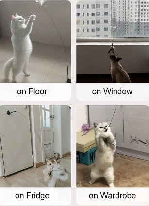 Cat and Puppies Toy with Handsfree Suction Cup