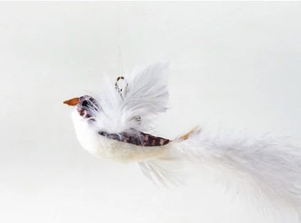 Cat and Puppies Toy with Handsfree Suction Cup